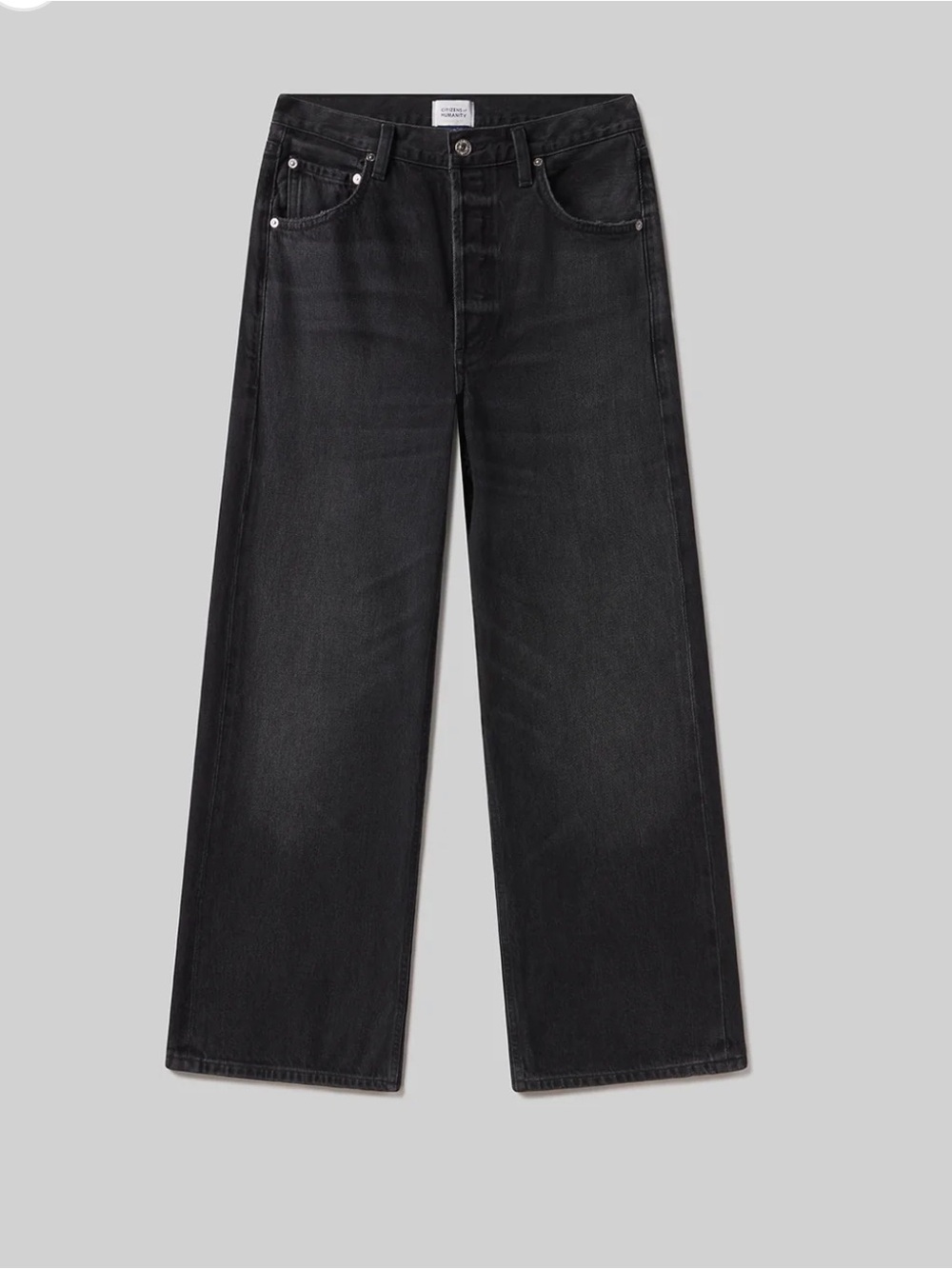 Citizens of Humanity Gaucho vintage wide leg